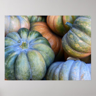 Autumn Pumpkins Poster
