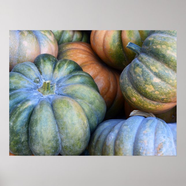 Autumn Pumpkins Poster (Front)