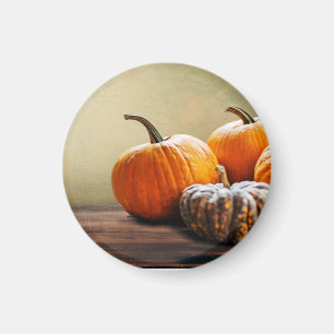 Autumn Pumpkins. Thanksgiving and Halloween still. Magnet