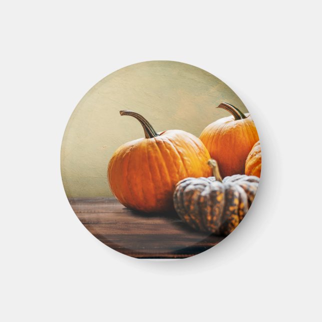 Autumn Pumpkins. Thanksgiving and Halloween still. Magnet (Front)