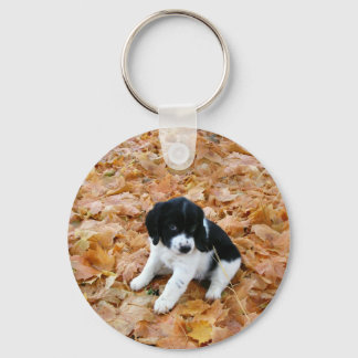 Autumn Puppy Key Ring