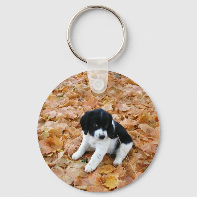 Autumn Puppy Key Ring (Front)