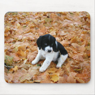 Autumn Puppy Mouse Mat