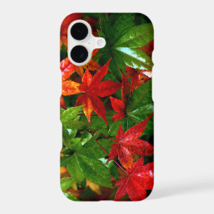 Autumn Rain