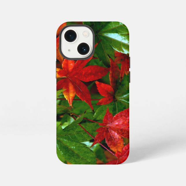 Autumn Rain iPhone Case (Back)