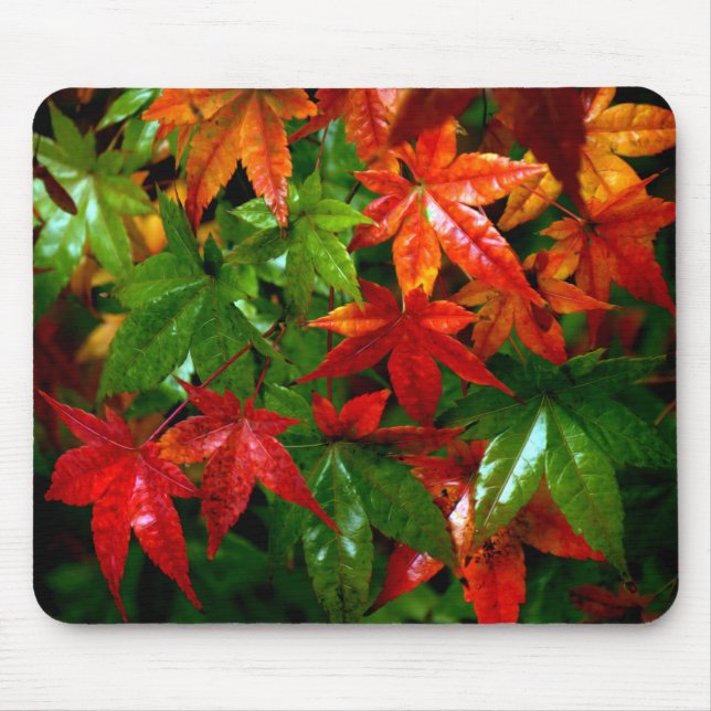 Autumn Rain Mouse Mat (Front)