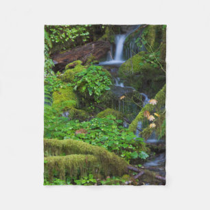 Autumn Rainforest Olympic National Park Fleece Blanket