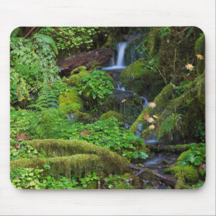 Autumn Rainforest   Olympic National Park Mouse Mat