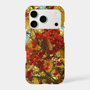 Autumn Red Berry orange Tree Crown Photo -