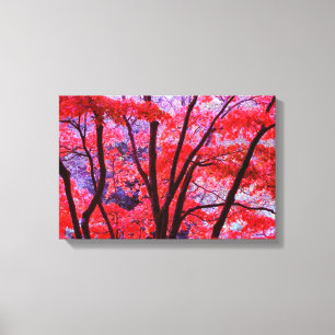 Autumn Red Canvas Print
