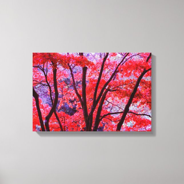 Autumn Red Canvas Print (Front)