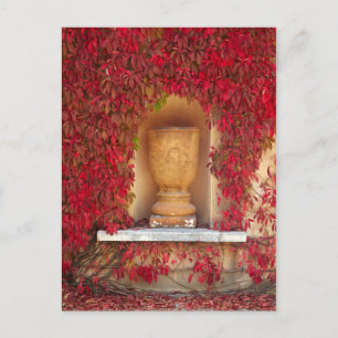 Autumn red foliage, New Zealand Postcard