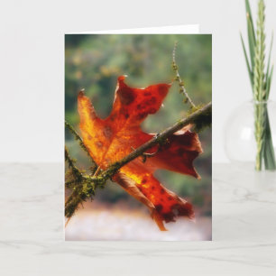 Autumn Red Leaf Nature Photo Card