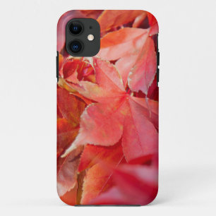Autumn Red Maple Leaves iPhone 11 Case