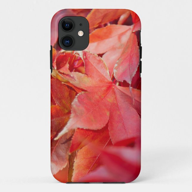 Autumn Red Maple Leaves Case-Mate iPhone Case (Back)