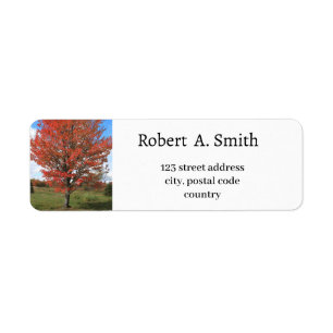 Autumn red maple tree Label