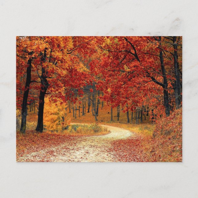 Autumn Red Season Landscape Postcard (Front)