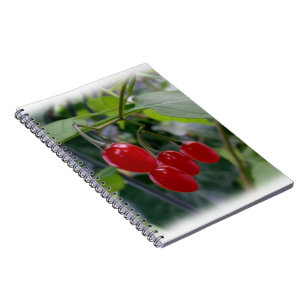 Autumn red spots notebook