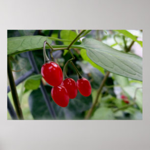 Autumn red spots poster