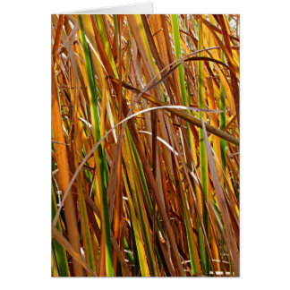 Autumn Reeds Number 5 (Vertical)