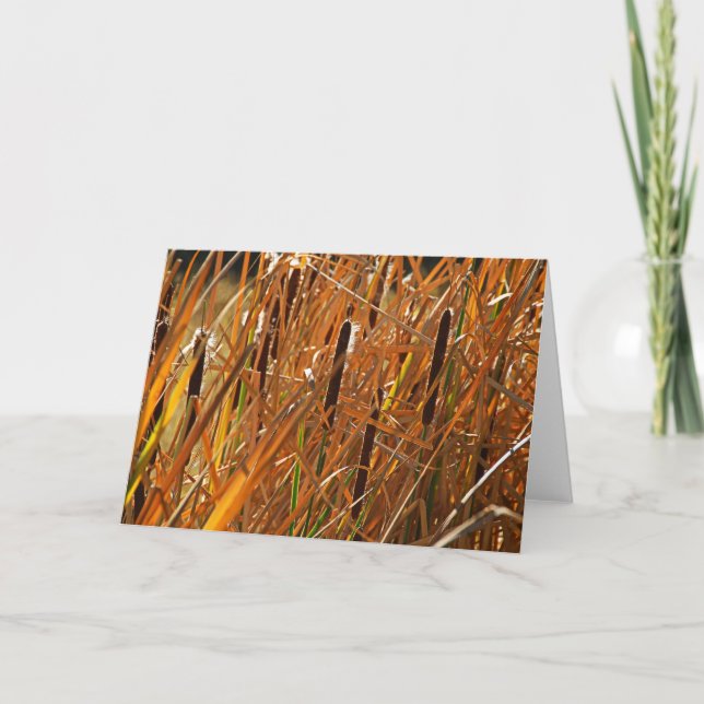 Autumn Reeds Number 6 Card (Front)