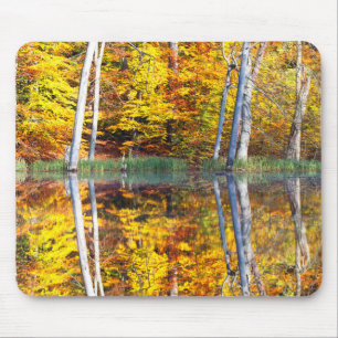Autumn Reflection Mouse Mat