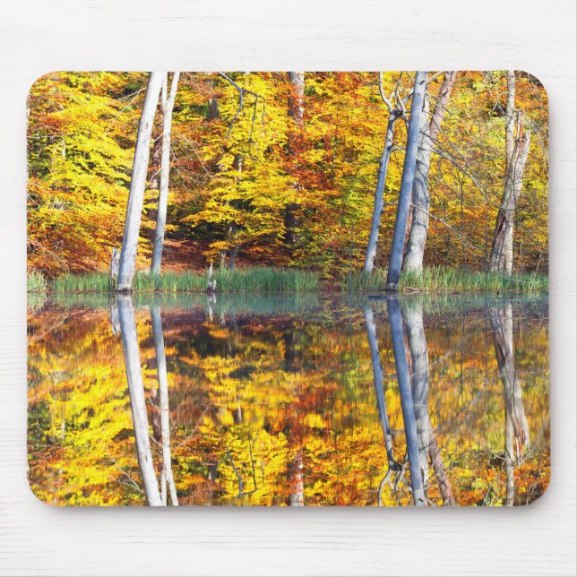 Autumn Reflection Mouse Mat (Front)