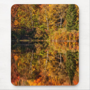 Autumn reflection on Coffin Pond Mouse Mat