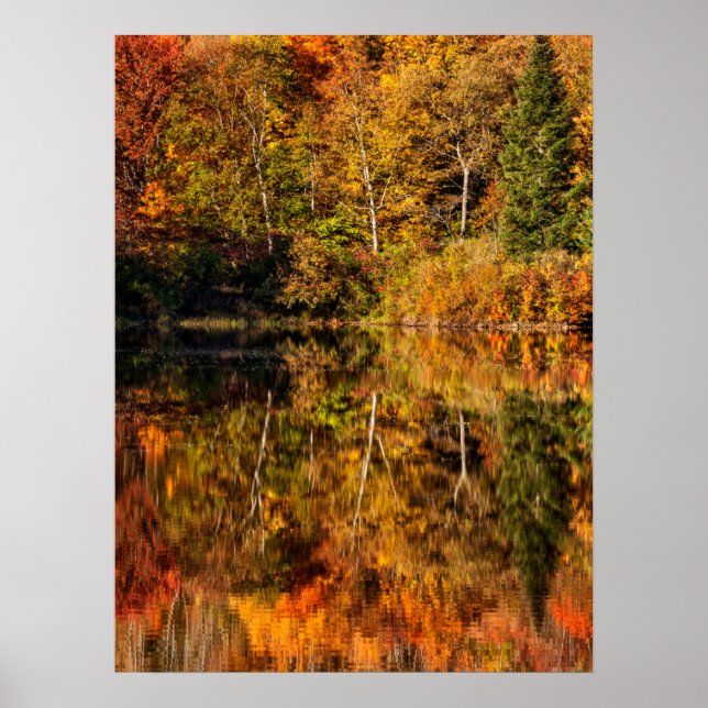 Autumn reflection on Coffin Pond Poster (Front)