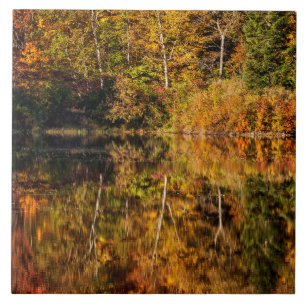 Autumn reflection on Coffin Pond Tile