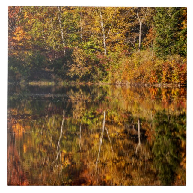 Autumn reflection on Coffin Pond Tile (Front)