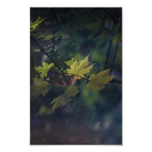 Autumn Reflection -- Photo Print