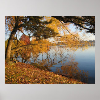 Autumn Reflection Poster