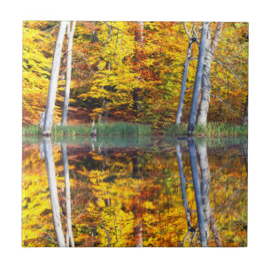 Autumn Reflection Tile