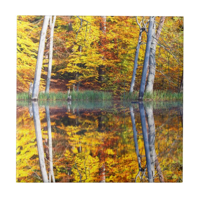 Autumn Reflection Tile (Front)