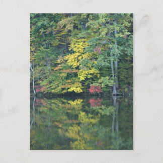 Autumn Reflections Postcard