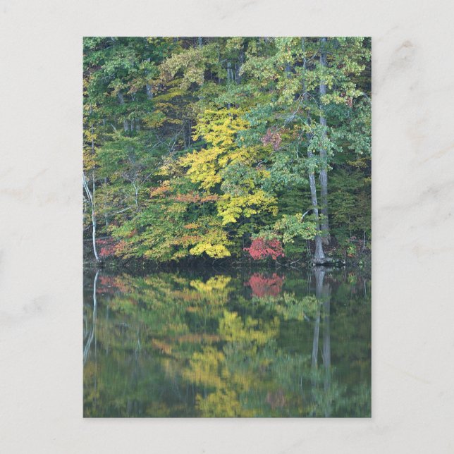 Autumn Reflections Postcard (Front)