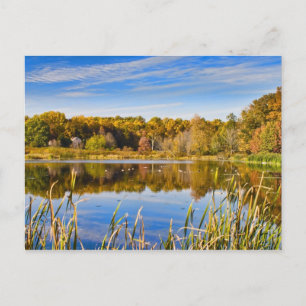 Autumn Reflections Postcard