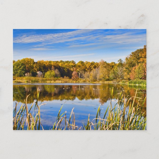 Autumn Reflections Postcard (Front)