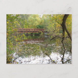 Autumn Reflections Postcard