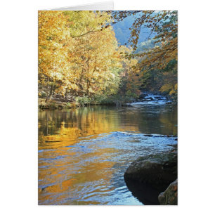 Autumn River