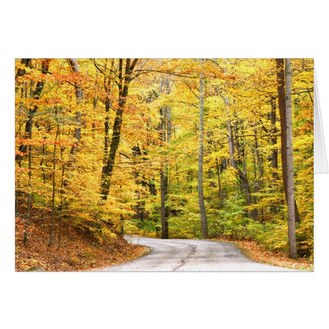 Autumn road (Front Horizontal)
