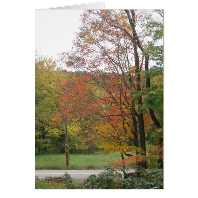 Autumn Road 2 (Front)