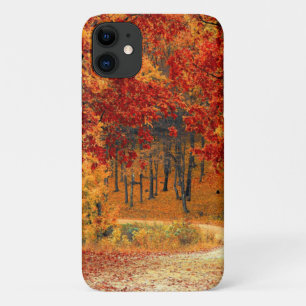 Autumn Road iPhone 11 Case