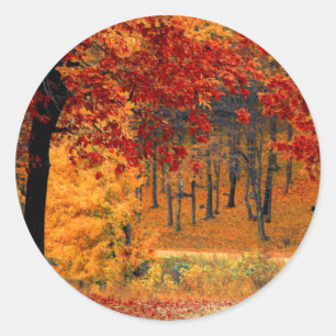 Autumn Road Classic Round Sticker