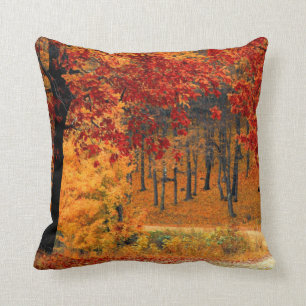 Autumn Road Cushion