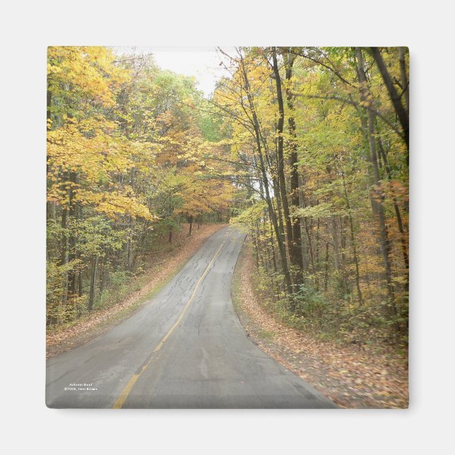 Autumn Road Magnet (Front)