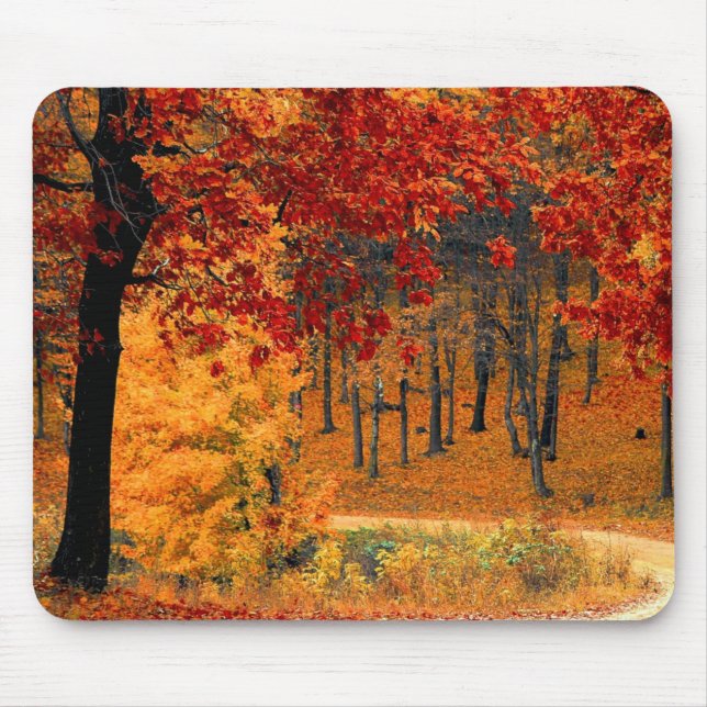 Autumn Road Mouse Mat (Front)