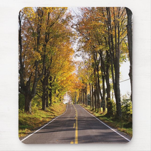 Autumn Road Mouse Mat (Front)