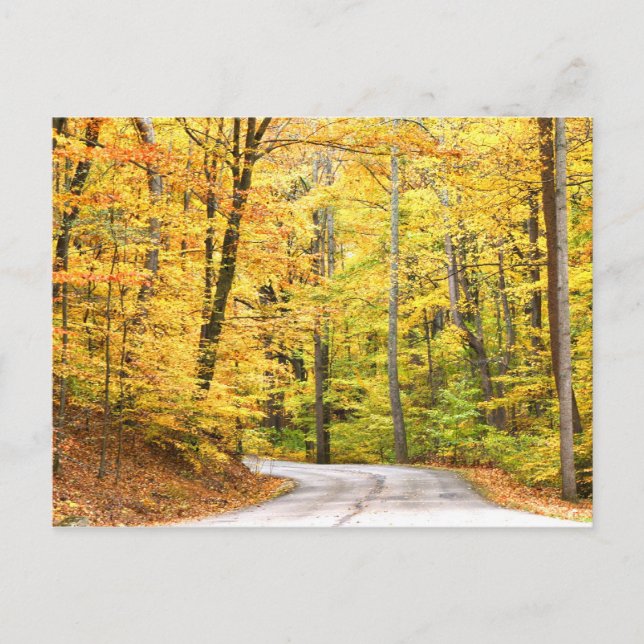 Autumn road postcard (Front)